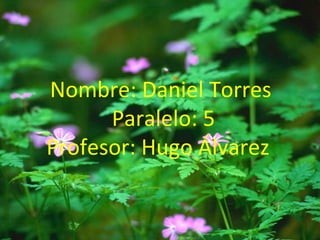 Nombre: Daniel Torres
Paralelo: 5
Profesor: Hugo Álvarez
 