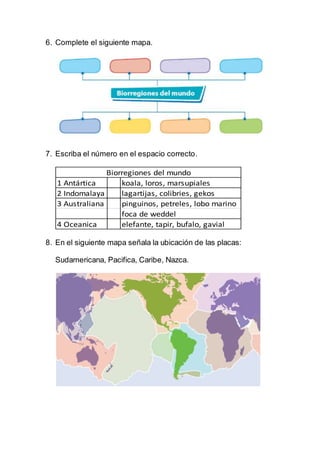 6. Complete el siguiente mapa.
7. Escriba el número en el espacio correcto.
1 Antártica koala, loros, marsupiales
2 Indomalaya lagartijas, colibries, gekos
3 Australiana pinguinos, petreles, lobo marino
foca de weddel
4 Oceanica elefante, tapir, bufalo, gavial
Biorregiones del mundo
8. En el siguiente mapa señala la ubicación de las placas:
Sudamericana, Pacifica, Caribe, Nazca.
 