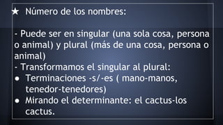 ★ Número de los nombres:
- Puede ser en singular (una sola cosa, persona
o animal) y plural (más de una cosa, persona o
animal)
- Transformamos el singular al plural:
● Terminaciones -s/-es ( mano-manos,
tenedor-tenedores)
● Mirando el determinante: el cactus-los
cactus.

 
