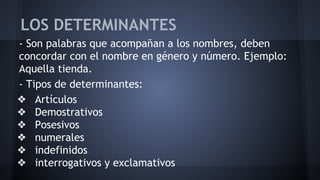 LOS DETERMINANTES
- Son palabras que acompañan a los nombres, deben
concordar con el nombre en género y número. Ejemplo:
Aquella tienda.
- Tipos de determinantes:
❖ Artículos
❖ Demostrativos
❖ Posesivos
❖ numerales
❖ indefinidos
❖ interrogativos y exclamativos

 