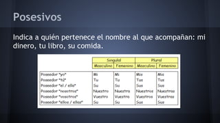 Posesivos
Indica a quién pertenece el nombre al que acompañan: mi
dinero, tu libro, su comida.

 