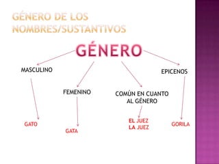 Nombre o sustantivo | PPTX
