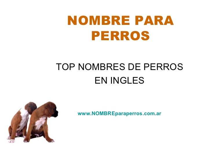Nombres originales para Perros