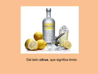 Del latín  citrus , que significa limón 