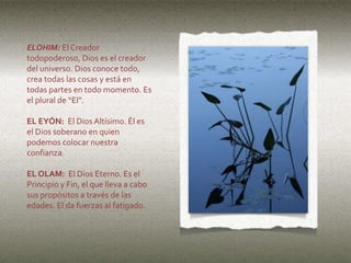 ELOHIM: El Creador
todopoderoso, Dios es el creador
del universo. Dios conoce todo,
crea todas las cosas y está en
todas partes en todo momento. Es
el plural de “El”.
EL EYÓN: El Dios Altísimo. Él es
el Dios soberano en quien
podemos colocar nuestra
confianza.
EL OLAM: El Dios Eterno. Es el
Principio y Fin, el que lleva a cabo
sus propósitos a través de las
edades. El da fuerzas al fatigado.
 
