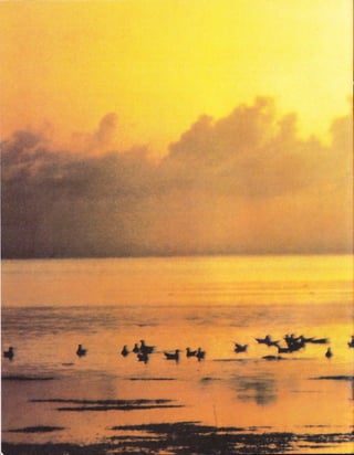 .:i$r.
          *#ËS*'   -i..;i
#ffi.iF
r W;*                       #ttn$*   #
 