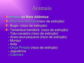 Animais animais  da Mata Atlântica:  -  Mico-leão-dourado (risco de extinção) - Bugio  (risco de extinção) - Tamanduá bandeira  (risco de extinção) - Tatu-canastra (risco de extinção) - Arara-azul-pequena (risco de extinção) - Muriqui - Anta -  Onça Pintada  (risco de extinção) - Jaguatirica  -  Capivara   