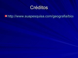 Créditos http://www.suapesquisa.com/geografia/biomas_brasileiros.htm 