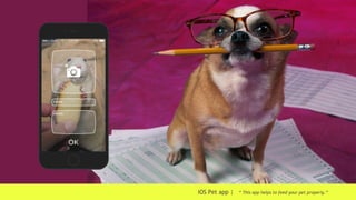 iOS Pet app | “ This app helps to feed your pet properly.”
 