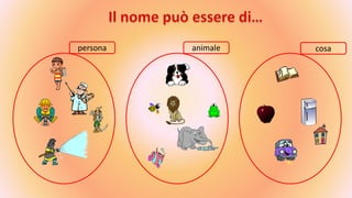 persona animale cosa
 