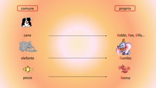 comune proprio
cane
elefante
pesce
Bobbi, Rex, Billy…
Dumbo
Nemo
 