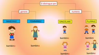 Si distingue per
genere
MASCHILE FEMMINILE
numero
PLURALESINGOLARE
bambino bambina
bambino
bambina bambine
bambini
 