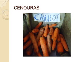 CENOURAS