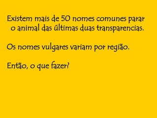 Existem mais de 50 nomes comunes parar
 o animal das últimas duas transparencias.

Os nomes vulgares variam por região.

Então, o que fazer?
 