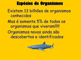 Espécies de Organismos
Existem 13 bilhões de organismos
 conhecidos
Mas é somente 5% de todos os
 organismos que viveram!!!!!
Organismos novos ainda são
 descobertos e identificados
 