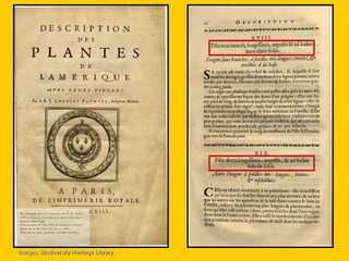 Images: Biodiversity Heritage Library
 