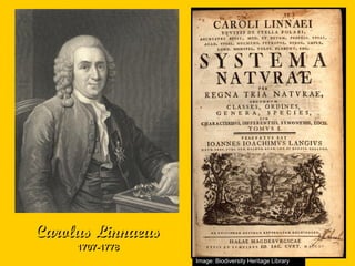 Carolus Linnaeus
     1707-1778
                   Image: Wikimedia CommonsLibrary
                          Biodiversity Heritage
 