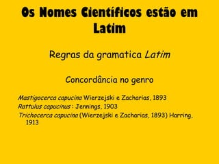 Os Nomes Científicos estão em
            Latim
          Regras da gramatica Latim

                Concordância no genro

Mastigocerca capucina Wierzejski e Zacharias, 1893
Rattulus capucinus : Jennings, 1903
Trichocerca capucina (Wierzejski e Zacharias, 1893) Harring,
  1913
 