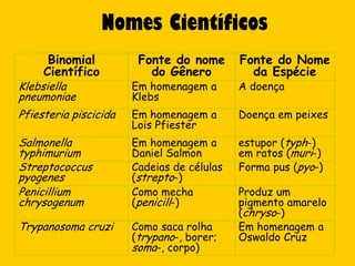 Nomes Científicos
      Binomial          Fonte do nome       Fonte do Nome
     Científico           do Gênero           da Espécie
Klebsiella             Em homenagem a       A doença
pneumoniae             Klebs
Pfiesteria piscicida   Em homenagem a       Doença em peixes
                       Lois Pfiester
Salmonella             Em homenagem a       estupor (typh-)
typhimurium            Daniel Salmon        em ratos (muri-)
Streptococcus          Cadeias de células   Forma pus (pyo-)
pyogenes               (strepto-)
Penicillium            Como mecha           Produz um
chrysogenum            (penicill-)          pigmento amarelo
                                            (chryso-)
Trypanosoma cruzi      Como saca rolha      Em homenagem a
                       (trypano-, borer;    Oswaldo Cruz
                       soma-, corpo)
 