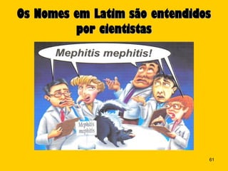 Os Nomes em Latim são entendidos
         por cientistas




                               61
 