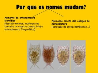 Por que os nomes mudam?
Aumento de entendimento
científico                           Aplicação coreta dos códigos de
(descobrimentos; mudanças no         nomenclatura
conceito de espécie (sensu lato) e   (correção de erros; homônimos;…)
entendimento filogenético)
 