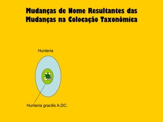Mudanças de Nome Resultantes das
Mudanças na Colocação Taxonômica



      Hunteria




Hunteria gracilis A.DC.
 