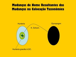 Mudanças de Nome Resultantes das
Mudanças na Colocação Taxonômica



      Hunteria                    Gynopogon

                      K. Schum.




Hunteria gracilis A.DC.
 