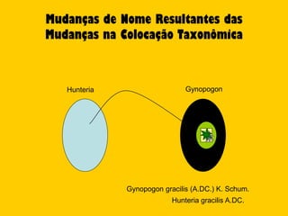 Mudanças de Nome Resultantes das
Mudanças na Colocação Taxonômica



   Hunteria                    Gynopogon




              Gynopogon gracilis (A.DC.) K. Schum.
                           Hunteria gracilis A.DC.
 