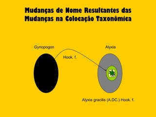 Mudanças de Nome Resultantes das
Mudanças na Colocação Taxonômica


  Gynopogon                            Alyxia

              Hook. f.




                         Alyxia gracilis (A.DC.) Hook. f.
 