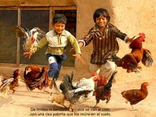 De límites ni banderas, míralos se van al cielo  con una risa paloma que los reúne en el vuelo. 