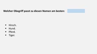 Welcher Obegriff passt zu diesen Nomen am besten:
 Hirsch.
 Hund.
 Pferd.
 Tiger.
 