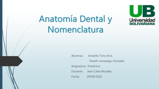 Anatomía Dental y
Nomenclatura
Alumnas: Amarilis Toro Arce.
Yaneth verastegui Hurtado.
Asignatura: Preclinico
Docente: Jean Carla Morales.
Fecha: 29/09/2020
 