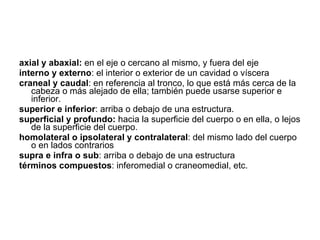 axial y abaxial:  en el eje o cercano al mismo, y fuera del eje  interno y externo : el interior o exterior de un cavidad o víscera craneal y caudal : en referencia al tronco, lo que está más cerca de la cabeza o más alejado de ella; también puede usarse superior e inferior.  superior e inferior : arriba o debajo de una estructura.  superficial y profundo:  hacia la superficie del cuerpo o en ella, o lejos de la superficie del cuerpo.  homolateral o ipsolateral y contralateral : del mismo lado del cuerpo o en lados contrarios  supra e infra o sub : arriba o debajo de una estructura  términos compuestos : inferomedial o craneomedial, etc.  