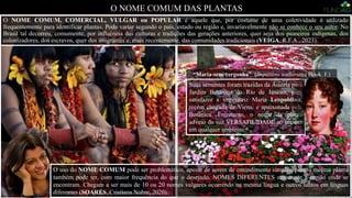 O NOME COMUM DAS PLANTAS
Foto: índias Tupi-guarani, por Por Vinícius Brigolini, 2022.
O uso do NOME COMUM pode ser problemático, apesar de serem de entendimento simples, pois, a mesma planta
também pode ter, com maior frequência do que o desejado, NOMES DIFERENTES consoante a região onde se
encontram. Chegam a ser mais de 10 ou 20 nomes vulgares ocorrendo na mesma língua e outros tantos em línguas
diferentes (SOARES, Cristiana Nobre, 2020).
O NOME COMUM, COMERCIAL, VULGAR ou POPULAR é aquele que, por costume de uma coletividade é utilizado
frequentemente para identificar plantas. Pode variar segundo o país, estado ou região e, invariavelmente não se conhece o seu autor. No
Brasil tal decorreu, comumente, por influência das culturas e tradições das gerações anteriores, quer seja dos pioneiros indígenas, dos
colonizadores, dos escravos, quer dos imigrantes e, mais recentemente, das comunidades tradicionais (VEIGA, R.F.A., 2023).
Suas sementes foram trazidas da Áustria para
Jardim Botânico do Rio de Janeiro, para
satisfazer a imperatriz Maria Leopoldina,
recém chegada de Viena, e apaixonada pela
Botânica. Entretanto, o nome da planta
adveio da sua VERSATILIDADE ao crescer
em qualquer ambiente.
“Maria-sem-vergonha” (Impatiens walleriana Hook. F.)
 