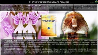 CLASSIFICAÇÃO DOS NOMES COMUNS
1. Os POPULARES são os nomes tradicionais que a sociedade local lhes confere. Podem ser INTRALINGUÍSTICOS - vernáculos
dentro da língua portuguesa. Ex: Manihot esculenta Crantz, Nomes vulgares somente no Brasil: Mandioca = Macaxeira = Aipim =
Maniva = Castelinha = Uaipi = Maniveira = Pão-de-pobre, etc.; ou EXTRALINGUÍSTICOS - vernáculos utilizados em outras
línguas como: Cassava, Manicoc, Maniok, Manioca, etc.
2. Os PARACIENTÍFICOS são nomes criados quando não há nomes vulgares – por serem plantas recém introduzidas de outro país -
pelos cientistas ou extensionistas, “aportuguesando” o nome científico do gênero ou espécie. Como por exemplo brasileiro, temos a
Echinacea purpúrea (L.) Moench = “Equinácea”, e a hortaliça Pastinaca sativum L.= “Pastinaca”.
“Homem-nu” = Orchis itálica Poir.,
orginária do Mediterrâneo.
Desta forma, mesmo não seguindo NENHUMA REGRA, quer seja regional, nacional ou até mesmo internacional, podem ser separados
como nomes populares ou paracientíficos, desde que utilizados somente como uma referência e não para uma identificação de peso
científico (VEIGA, R.F.A., 2023), como a seguir:
“Macaco” = Dracula símia (Luer) Luer.,
originária do Equador.
 