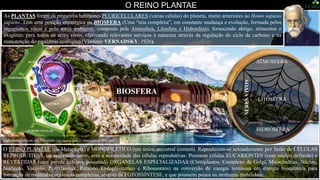 O REINO PLANTAE
O REINO PLANTAE (ou Metaphyta) é MONOFILÉTICO (um único ancestral comum). Reproduzem-se sexuadamente por fusão de CÉLULAS
REPRODUTIVAS, ou assexuadamente, sem a necessidade das células reprodutivas. Possuem células EUCARIONTES (com núcleo definido) e
REVESTIDAS (com parede celular), possuindo ORGANELAS ESPECIALIZADAS (Cloroplastos, Complexo de Golgi, Mitocôndrias, Núcleo,
Nucléolo, Vacúolo, Peroxisomas, Retículo Endoplasmático e Ribossomos) na conversão de energia luminosa em energia bioquímica para
formação de moléculas orgânicas complexas, através da FOTOSSÍNTESE, e que possuem pouca ou nenhuma mobilidade.
As PLANTAS foram os primeiros habitantes PLURICELULARES (várias células) do planeta, muito anteriores ao Homo sapiens
sapiens. Têm uma posição estratégica na BIOSFERA (Uma “teia complexa”, em constante mudança e evolução, formada pelos
organismos vivos e pelo meio ambiente, composta pela Atmosfera, Litosfera e Hidrosfera), fornecendo abrigo, alimentos e
oxigênio, para todos os seres vivos, efetivando relevantes serviços à natureza através da regulação do ciclo de carbono e na
manutenção do equilíbrio ecológico (Vladimir VERNADSKY, 1926).
MITOCÔNDRIAS
GOLGI
VACÚOLO
RETÍCULO ENDOPLASMÁTICO
NÚCLEO
NUCLÉOLO
CLOROPLASTOS
PAREDE CELULAR
PEROXISOME
RIBOSSOMOS
https://anbiojovem.org.br/celula-vegetal-o-que-e-estrutura-e-funcoes/
BIOSFERA
ATMOSFERA
LITOSFERA
HIDROSFERA
SERES
VIVOS
 