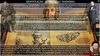 Foto: Jardim Botânico de Curitiba
LINEU
IDENTIFICAÇÃO: SISTEMÁTICA E TAXONOMIA
A TAXONOMIA (taxionomia ou classificação biológica), termo cunhado pelo sueco A.P. De CANDOLLE,
elabora as leis que se incumbem da identificação, nomenclatura e classificação dos seres vivos. Considera
primeiramente o princípio da DESCENDÊNCIA por relações genéticas, e em segundo lugar o princípio da
EVOLUÇÃO por alterações evolutivas.
A SISTEMÁTICA e a TAXONOMIA vegetal são disciplinas interligadas que pesquisam a classificação,
organização e a identificação das plantas, e se diferenciam pelos seus enfoques e objetivos.
A SISTEMÁTICA, termo cunhado por Carolus LINAEUS, se utiliza da Diversidade, Evolução, Filogenia e da
própria Taxonomia, no preparo de chaves, agrupando as plantas em um sistema de ordenamento dos grupos,
semelhantes morfologicamente, por categorias de ... famílias, gêneros, espécies, variedades,...).
DE CANDOLLE
LINEU
Anteriormente a Lineu, ainda se utilizava dos nomes científicos longos (Sistema Polinomial ou Multissônico), cujas descrições
eram em latim, descrevendo as características morfológicas, habitat, uso ou outras características relevantes (Ex.: Pinus sylvestris L.
seria citado como "Pinus foliis aciculatis, conis ovoideis" (isto é: pinheiro com folhas em forma de agulha e cones ovoides).
Embora o sueco Lineu tenha se tornado a principal referência da Nomenclatura Binomial com seu livro “Systema Naturae” (1758),
foto de fundo, um dos primeiros a se utilizar desta nomenclatura foi o botânico suíço Gaspard (Casper) BAUHIN, em 1623. BAUHIN
 