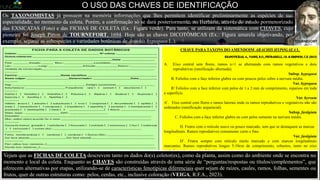 O USO DAS CHAVES DE IDENTIFICAÇÃO
Foto: Caracterização de raças de “Amendoim” (Angiosperma), pelos botânicos Antônio Krapovicas e Ricardo Vanni (IBONE – Corrientes – Ar) e Renato Pietrarelli (INTA – Manfredi – Ar).
SAMAMBAIAS
PTERIDÓFITAS
FUNGOS,
BACTÉRIAS
ALGAS VERDES
MUSGOS
BRIÓFITAS
CONÍFERAS
GIMNOSPERMAS
PL. AGRÍCOLAS
ANGIOSPERMAS
COM SEMENTES
SEM SEMENTES
COM RAÍZES,
CAULES E FOLHAS
VERDADEIRAS
SEM RAÍZES,
CAULES OU FOLHAS
VERDADEIRAS
SEM FLORES COM FLORES
SEM ESTRUTURA
DE RAÍZES,
CAULES OU FOLHAS
COM ALGUMA
ESTRUTURA DE
RAÍZES,
CAULES OU FOLHAS
CHAVE DO REINO PLANTAE
Foto: Exsicatas de raças de Arachis
hypogaea L., do Herbário
“Carmem Cristóbal” – IBONE – AR.
Os TAXONOMISTAS já possuem na memória informações que lhes permitem identificar preliminarmente as espécies de sua
especialidade, no momento da coleta. Porém, a confirmação só se dará posteriormente, no Herbário, através do estudo pormenorizado
das EXSICATAS (Foto) e das FICHAS DE COLETA (Ex.: Figura verde). Para tanto, se utilizam da sistemática com CHAVES, cujo
pioneiro foi Joseph Pitton de TOURNEFORT, 1694. Hoje são as chaves DICOTÔMICAS (Ex.: Figura amarela objetivando, por
exemplo, separar as subespécies e variedades botânicas de Arachis hypogaea L.). TOURNEFORT
CHAVE PARA TAXONS DO AMENDOIM ARACHIS HYPOGAEA L.
A. Eixo central sem flores, ramos n+1 se alternando com ramos vegetativos e dois
reprodutivas (ramificação alternada).
Subsp. hypogaea
B. Folíolos com a face inferior glabra ou com poucos pelos sobre a nervura média.
Var. hypogaea
B’ Folíolos com a face inferior com pelos de 1 a 2 mm de comprimento, esparsos em toda
a superfície.
Var. hyrsuta
A’. Eixo central com flores e ramos laterais onde os ramos reprodutivos e vegetativos não são
ordenados (ramificação sequencial).
Subsp. fastigiata
C. Folíolos com a face inferior glabra ou com pelos somente na nervura média.
D. Frutos com o retículo suave ou pouco marcado, sem que se destaquem as marcas
longitudinais. Ramos reprodutivos comumente curto e fino.
Var. fastigiata
D’. Frutos sempre com retículo muito marcado e com marcas longitudinais
marcantes. Ramos reprodutivos longos 5-10cm de comprimento, robustos, tanto no eixo
central quanto nos ramos laterais.
Var. peruviana
C’. Folíolos com a face inferior com pelos de 1 a 2 mm de comprimento, espalhados
por toda superfície. Ramos reprodutivos longos, principalmente nos ramos laterais. Eixo
central comumente com inflorescências ou ramos reprodutivos curtos.
Var. aequatoriana
Vejam que as FICHAS DE COLETA descrevem tanto os dados do(s) coletor(es), como da planta, assim como do ambiente onde se encontra no
momento e local da coleta. Enquanto as CHAVES são construídas através de uma série de “perguntas/respostas ou títulos/complementos”, que
oferecem alternativas por etapas, utilizando-se de características fenotípicas diferenciais quer sejam de raízes, caules, ramos, folhas, sementes ou
frutos, quer de outras estruturas como: pelos, cerdas, etc., inclusive coloração (VEIGA, R.F.A., 2023).
 