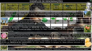 EXEMPLOS DE DENOMINAÇÕES
Vermelha
LINHA = É um conjunto de indivíduos aparentemente uniformes. Propagados por sementes ou esporos, cuja estabilidade é mantida
pela seleção para um determinado padrão. Ex.: Trigo, em autopolinização (Triticum aestivum L.‘Marquis’).
SELEÇÃO OU MUTAÇÃO = Originadas por SELEÇÃO ou MUTAÇÃO de outra cultivar, mas com a qual mantenha forte
semelhança, deve receber um nome que indique tais seleções. Ex: Maçã ‘Crinson Branley’ é um nome correto, pois, é mutante de
‘Branley’s Seedling’.
HÍBRIDOS INTERESPECÍFICOS = Quando se cruza PLANTAS DE ESPÉCIES DIFERENTES, utiliza-se do sinal “X”. Ex.:
“Camélia” [Camellia japonica X saluenensis, ou Camellia (japonica X saluenensis) ‘Donation’ (ordem: mãe em 1º. e pai em 2º.).
O grande impulso na criação de cultivares no mundo veio com a publicação dos trabalhos do monge tchecolosvaco Gregor Johann
MENDEL (1860), enquanto no Brasil ressalta-se o pioneirismo do brasileiro Carlos Arnaldo KRUG, no IAC, na década de 1940. Como
são muitos os métodos de multiplicação de plantas, a seguir exemplificamos apenas algumas formas obtidas no Melhoramento Genético
que, em parte, podem se utilizar do mesmo tipo de denominação, com aspas simples: KRUG
VARIEDADE (var.) ou FORMA (f.) são siglas utilizadas para indicar o nome de uma subespécie, raça, variedade botânica, mutação
local ou forma hortícola, diferindo entre si apenas por característica hereditária. Ex.: Acer saccharinum var. laciniatum ou
´Laciniatum Wieri`.
QUIMERA = São indicadas pelo sinal de “mais (+)” antes do nome Ex: +Laburnum Cytisus Adamii ou +Laburnocytisus 'Adamii'
CLONE = É um conjunto de indivíduos GENETICAMENTE UNIFORMES, que podem ser derivados originalmente de um único
indivíduo por PROPAGAÇÃO VEGETATIVA, tais como: estacas, enxertos ou aporquia. Ex: Batata (Solanum tuberosum L. cl.
Bintje, ou Solanum tuberosum L. ‘Bintje’).
 