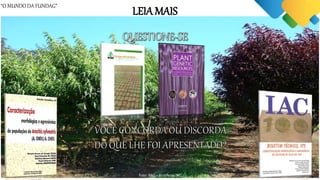 “O MUNDO DA FUNDAG”
Foto: Área in vitro do Quarentenário IAC, 2011.
Foto: BAG Trigo, ICAR – Estação Regional IARI, Wellington, 2011.
LEIA MAIS
Foto: BAG – Frutíferas IAC.
 