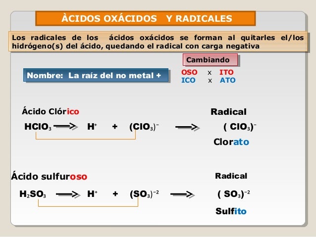 Nomenclatura capacitación
