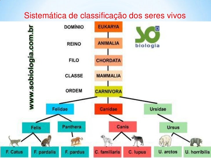 Nomenclatura cientifica
