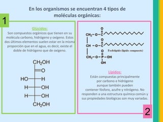 Nomenclatura de compuestos orgánicos e inorgánicos