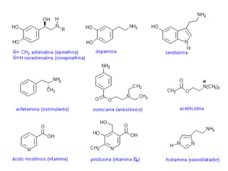 Nomenclatura de aminas 