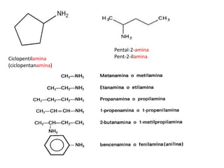 Ciclopentilamina
(ciclopentanamina)
Pental-2-amina
Pent-2-ilamina
 