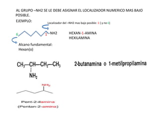AL GRUPO –NH2 SE LE DEBE ASIGNAR EL LOCALIZADOR NUMERICO MAS BAJO
POSIBLE.
EJEMPLO:
-NH2
Localizador del –NH2 mas bajo posible: 1 ( y no 6)
16
Alcano fundamental:
Hexan(o)
HEXAN-1-AMINA
HEXILAMINA
 