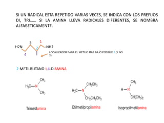 SI UN RADICAL ESTA REPETIDO VARIAS VECES, SE INDICA CON LOS PREFIJOS
DI, TRI…… SI LA AMINA LLEVA RADICALES DIFERENTES, SE NOMBRA
ALFABETICAMENTE.
-NH2H2N
1
2
4
3
LOCALIZADOR PARA EL METILO MAS BAJO POSIBLE 2 (Y NO
3)
2-METILBUTANO-I,4-DIAMINA
 