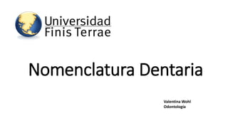 Nomenclatura Dentaria 
Valentina Wohl 
Odontología 
 