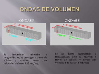 ONDAS P ONDAS S
Se denominan primarias o
longitudinales, se propagan a través de
sólidos y líquidos, tienen una
velocidad de hasta 8.13 km/seg.
Se les llama secundarias o
transversales, solo se mueven a
través de sólidos, y tienen una
velocidad de hasta 4.8 km/seg.
 