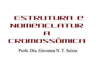 Estrutura e
Nomenclatur
a
Cromossômica
Profa. Dra. Giovanna N. T. Seixas
 